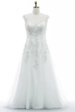 Dazzled silver beading appliqued plus size bridal gown