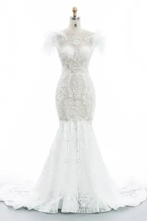 Stunning pearled lace feather sheer wedding dress